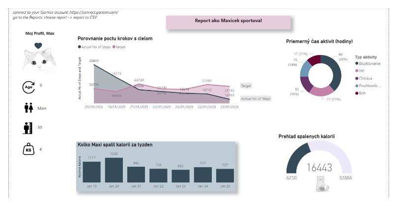 Otevři dveře k novým možnostem: Vytvoř si vlastní Garmin Dashboard v Power BI (+návod jak vytvořit dashboard)!